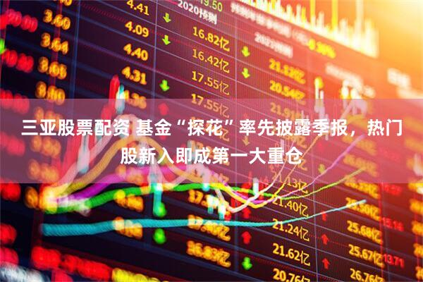 三亚股票配资 基金“探花”率先披露季报，热门股新入即成第一大重仓